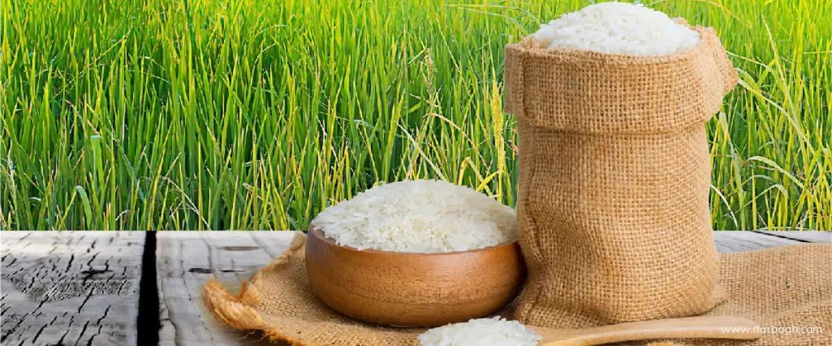 ظرف مناسب برای نگهداری برنج