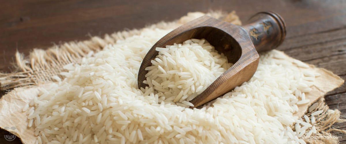 محیط نگهداری برنج