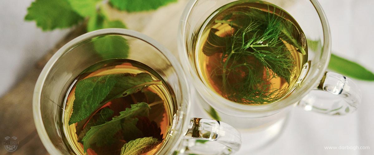 طبع چای سبز