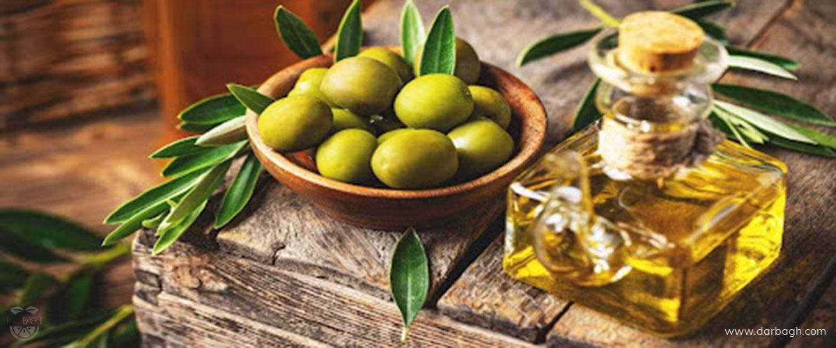فواید روغن زیتون