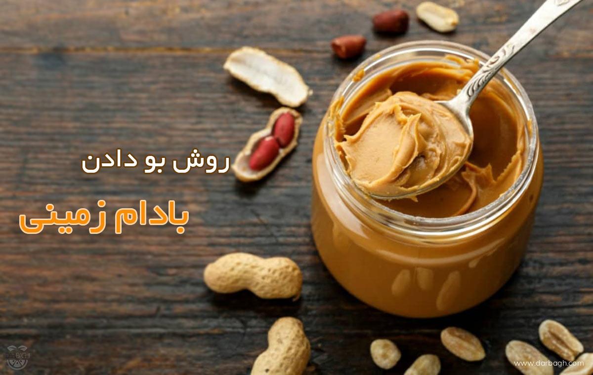 آموزش بو دادن بادام زمینی در خانه